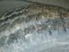 Photo Number 6